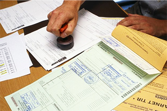 Asistenta vamala 24h/24